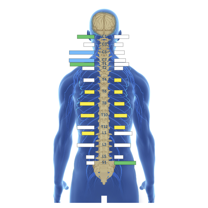 emg scan