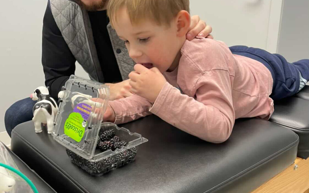 Chronic Ear Infections