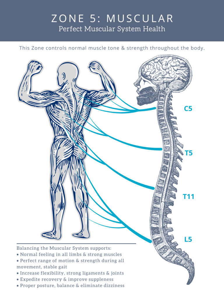 zone technique, zone healing, zone school of healing, zone technique certified