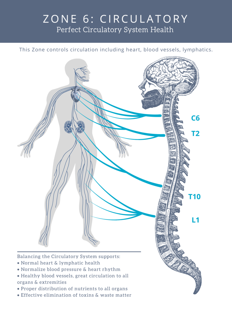 zone technique, zone healing, zone school of healing, zone technique certified